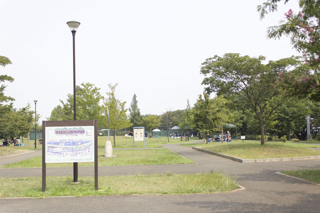 樹木と歩道