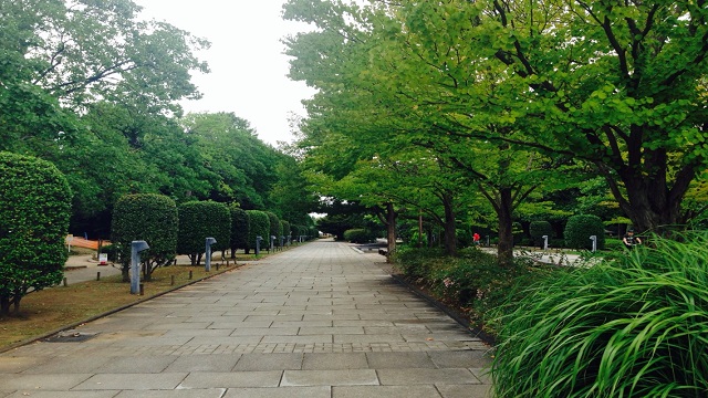 柏の葉公園中央広場内バーベキュー場 格安バーベキューレンタルのbbq Hope